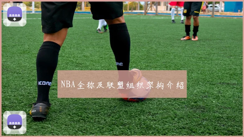 NBA全称及联盟组织架构介绍